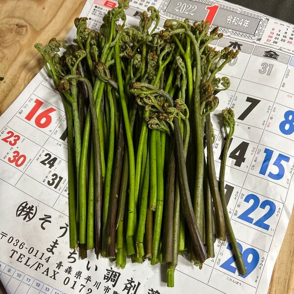 青森産天然わらび朝取れて700グラムあります。よろしくお願いします。