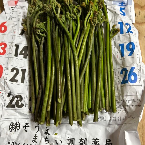 青森産天然、蕨朝とれたて700グラムあります。よろしくお願いします。