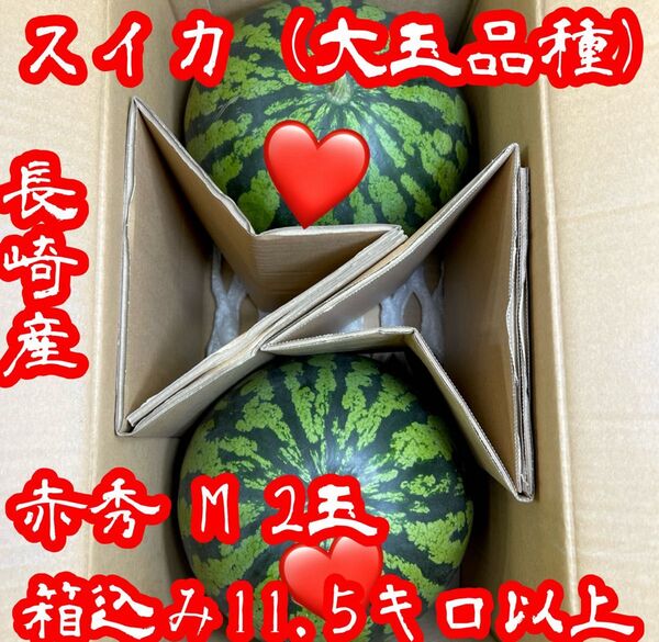 長崎産 シャリッと!! 甘くて美味しい!! (ハウス)スイカ!! 1級品 Mサイズ 2玉 箱込み11.5キロ以上!!