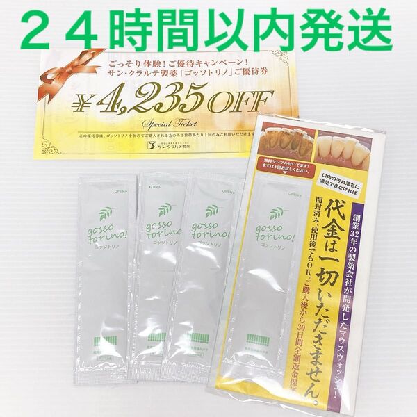 【即発送】ゴッソトリノ トゥースウォッシュ 薬用液体歯磨き ハーブミント サンプル 4包 新品未使用