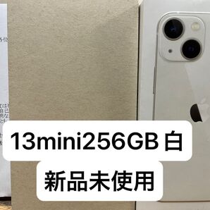 iPhone13mini 256GBスターライト