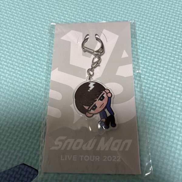 Snow Man すのチルぶら下がりシリーズ アクリルキーホルダー 渡辺翔太