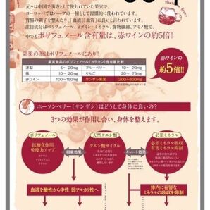BIO ハーブサンザシ15mL 60本