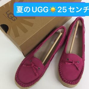 新品◆未使用◆UGGデッキシューズ◆25センチ