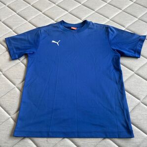 PUMA 半袖Tシャツ ブルー 160cm