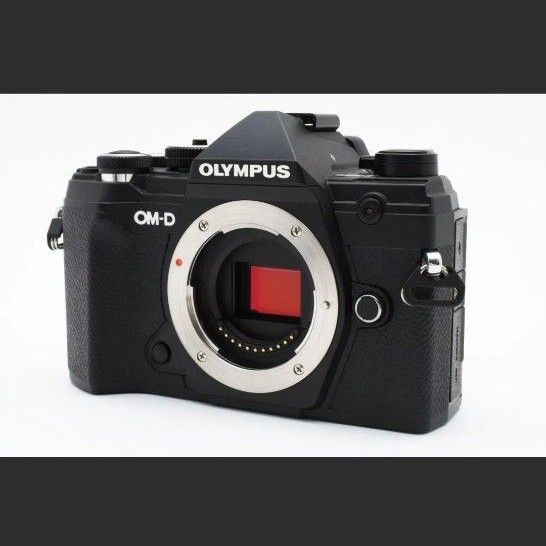 極美品★ OLYMPUS e-m5 mark iii ボディ ブラック