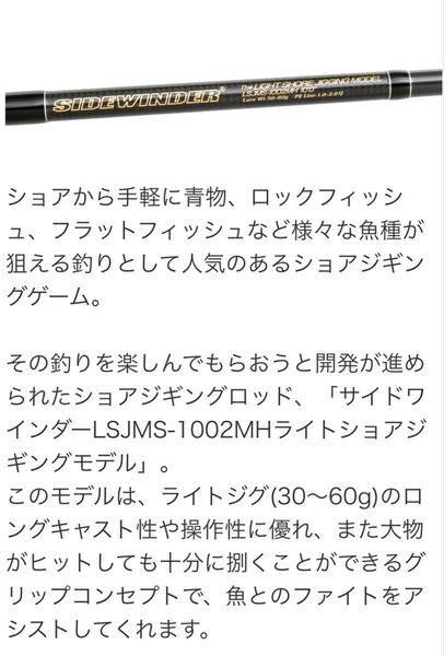depsデプスWEBメンバー限定サイドワインダーLSJMS-1002MHライトショアジギングモデル新品未使用
