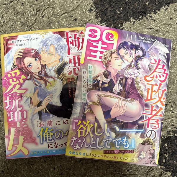 極悪王子の愛玩聖女 脱走聖女は呪われ殿下に処女を奪われたい!? 1 、為政者の閨 野獣皇帝の終わらない蜜夜 1