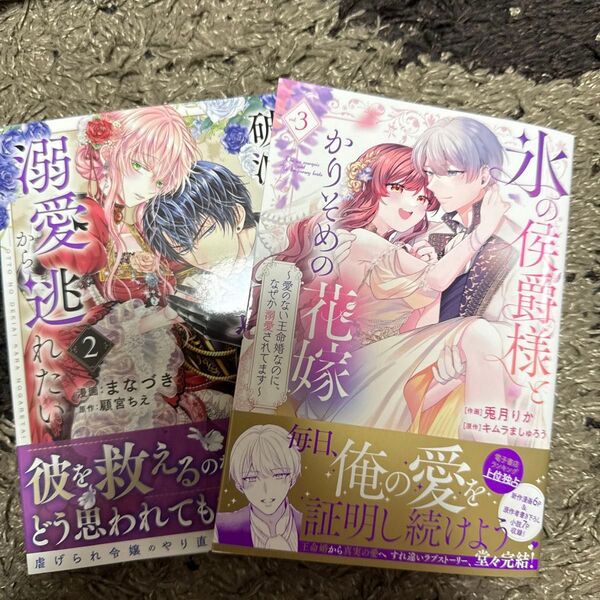 破滅の聖女は運命の夫の溺愛から逃れた 2、 氷の侯爵様とかりそめの花嫁 愛のない王命婚なのに、なぜか溺愛されてます 3