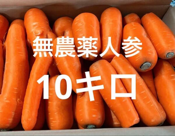 訳あり人参10キロ