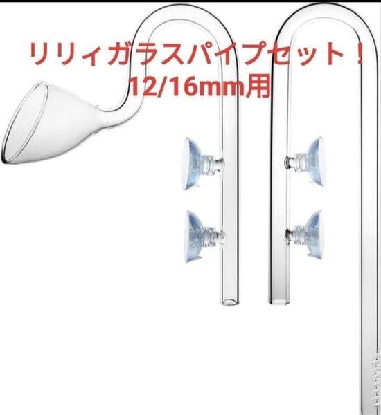 リリィパイプ 吸水 出水 セット クリアガラス製 (12/16mm ホース用)