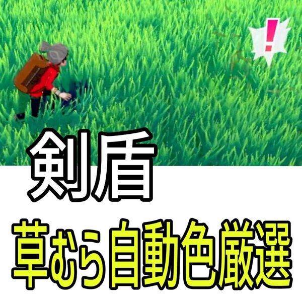 ポケモン剣盾草むら色厳選自動化コントローラー マイコン