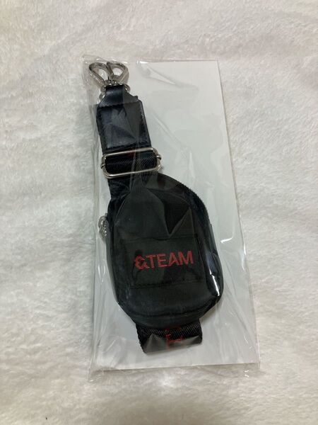 &TEAM ショルダーポーチ アジツ ツアーグッズ