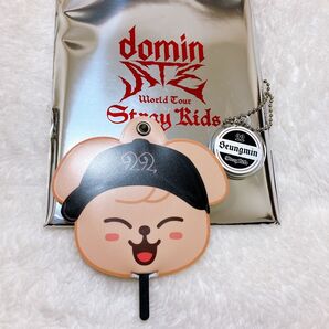 stray kids スンミン ミニうちわキーホルダー スキズdominATE