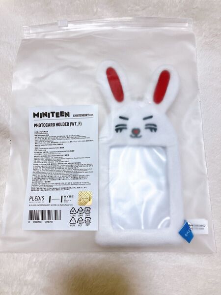 SEVENTEEN ミニティーン エスクプス トレカケース フォトホルダー