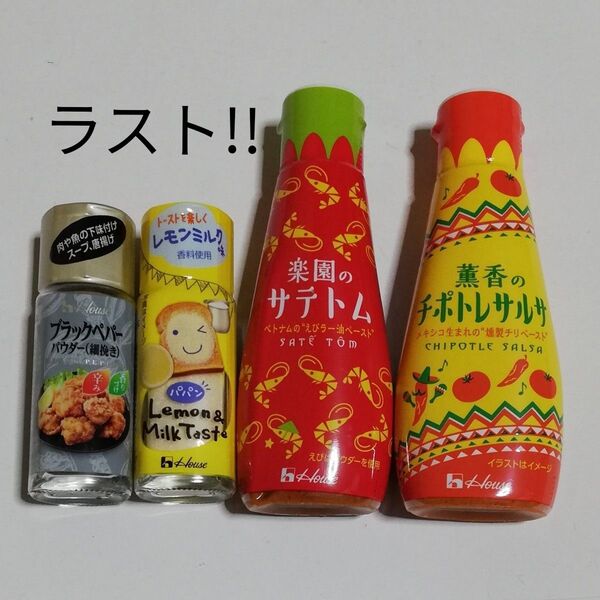 ラスト!! ハウス食品 パパン ブラックペパー 薫香のチポトレサルサ 楽園のサテトム