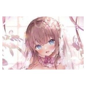 kino 野々花ちゃん 猫りん堂3周年 B1Wスエードタペストリー 通常ver.&差分ver.セット