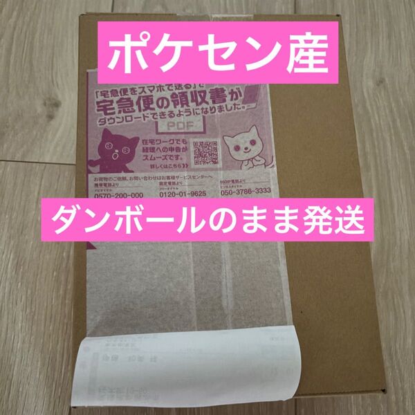 【 シュリンク付き 新品未開封 】 ポケセン産 シャイニートレジャーex box