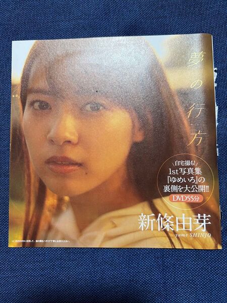 週刊プレイボーイ付録dvd 新條由芽 夢の行方