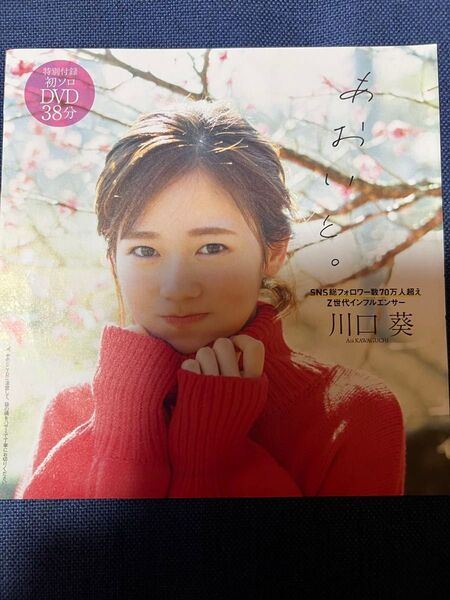 週刊プレイボーイ 付録DVD 川口葵 あおいと