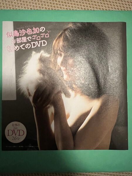 週刊プレイボーイ付録DVD 似鳥沙也加 お部屋でゴロゴロ