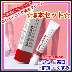 【新品】正規品EBUG 研美白斑霜 シミ・肝斑・そばかす 美白クリーム5本