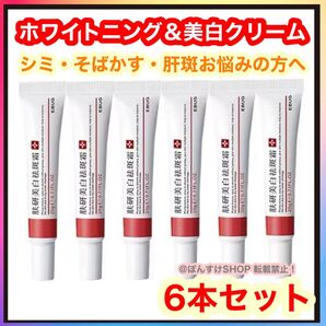 【新品】正規品EBUG 研美白斑霜 シミ・肝斑・そばかす 美白クリーム6本