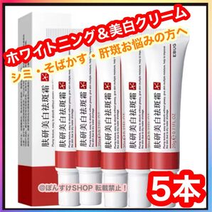【新品】正規品EBUG 研美白斑霜 シミ・肝斑・そばかす 美白クリーム5本