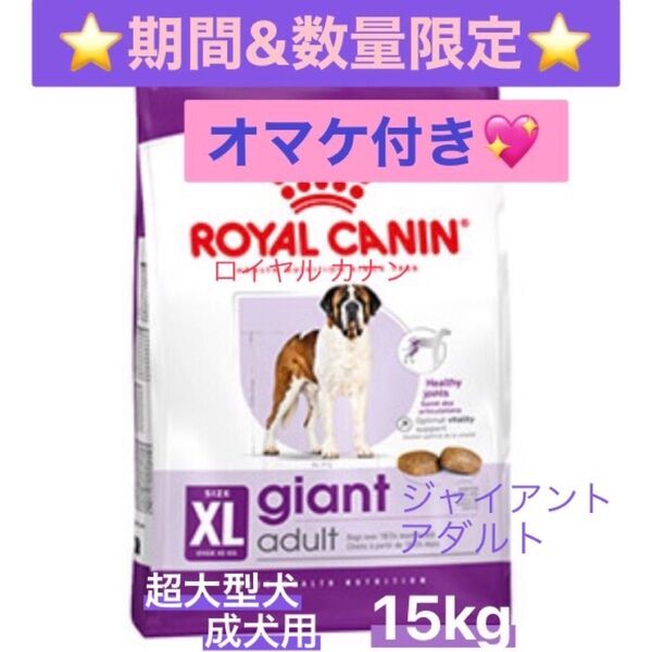 ①ロイヤルカナン XLジャイアントアダルト 超大型犬成犬用15kg★数量限定オマケ(500g)付き◆Payポイント最大10%還元