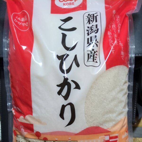 米 新潟県産 こしひかり 普通精米 5kg ×1
