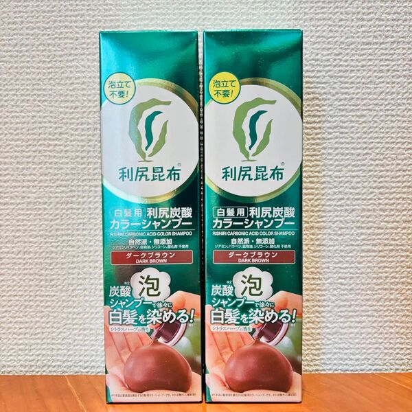 利尻炭酸カラーシャンプー ダークブラウン 2本