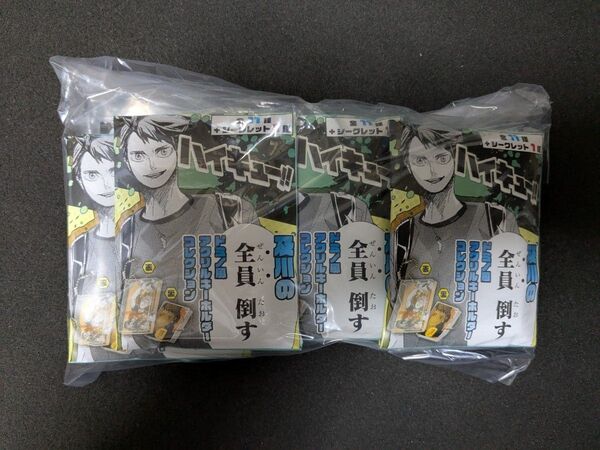 10個 ハイキュー!! 及川の全員倒す ドミノ風アクリルキーホルダーコレクション