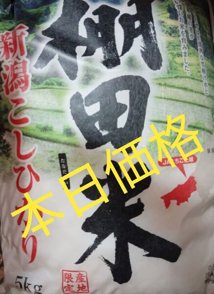 新潟こしひかり 5kg産地 限定 棚田米5kg5月購入