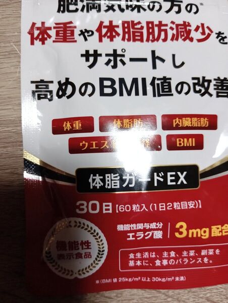 体脂ガードEX 30日分1個5月購入新品未開封