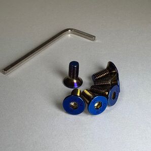 ステアリング用ステンレス製皿ビス ネジ チタン風カラー