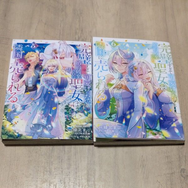 完璧すぎて可愛げがないと婚約破棄された聖女は隣国に売られる 5-6巻 冬月光輝/原作 綾北まご/漫画 昌未/キャラクター原案