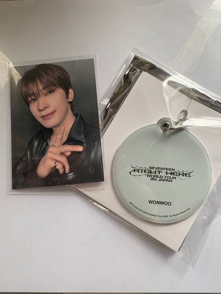 SEVENTEEN RIGHT HERE グッズ ウォヌ