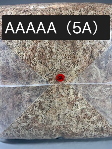 乾燥水苔 A5 ニュージーランド産 25g AAAAA 5A