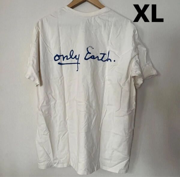 【新品】大人気デザイン!ラスト!パタゴニア オーガニックコットン オシャレ 半袖Tシャツ メンズUSサイズ XL