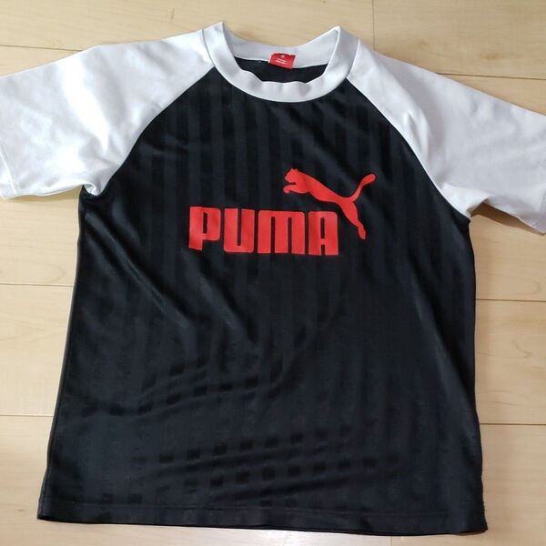 半袖Tシャツ PUMA 160cm