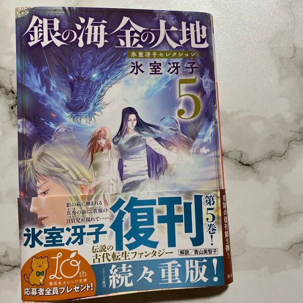 銀の海金の大地 5 (集英社オレンジ文庫 ひ6-5 氷室冴子セレクション) 氷室冴子/著