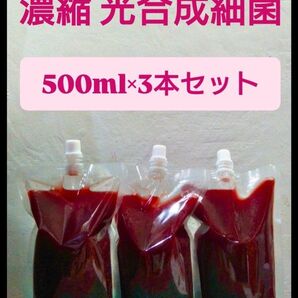 自家培養 PSB 光合成細菌