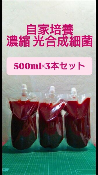自家培養 PSB 光合成細菌