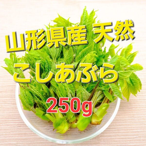 山形県産 天然 こしあぶら 250g