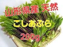 山形県産 天然 こしあぶら200g