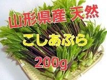 山形県産 天然 こしあぶら200g