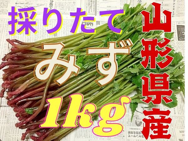 山形県産 天然 みず 1kg