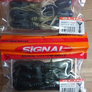 SIGNAL シグナル マンバ スリム セット ウナギ グリーンパンプキンブルー