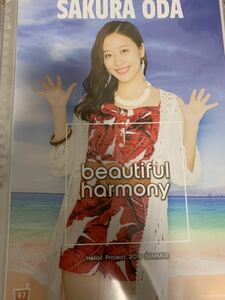 即決 小田 さくら part2 ハロコン 2019 beautiful harmony 夏 BEYOOOOONDSピンナップ ポスター ピンポス 送料140 小田さくら