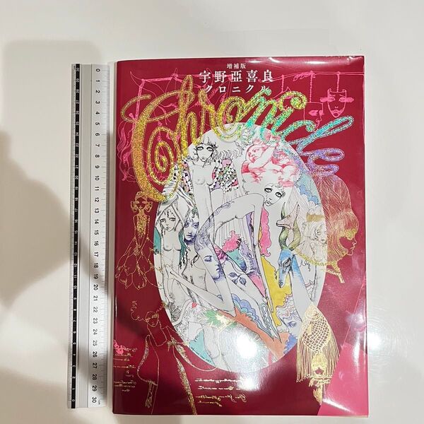 宇野亞喜良 ロニク 増補版 画集 イラスト集